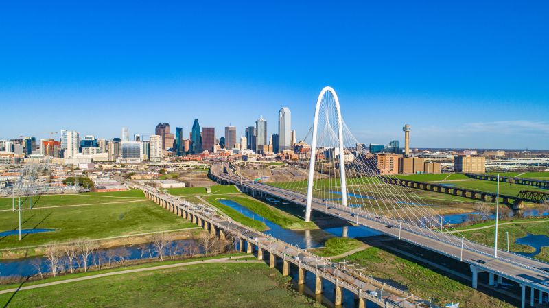 Bug Extermination Service in Dallas, TX