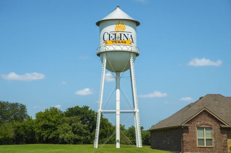 Carpenter Ant Extermination in Celina, TX