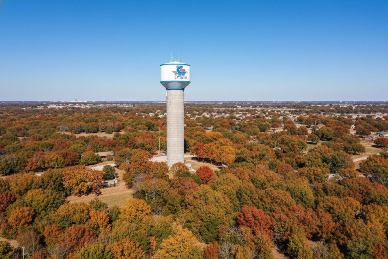 Cricket Removal Service in Corinth, TX
