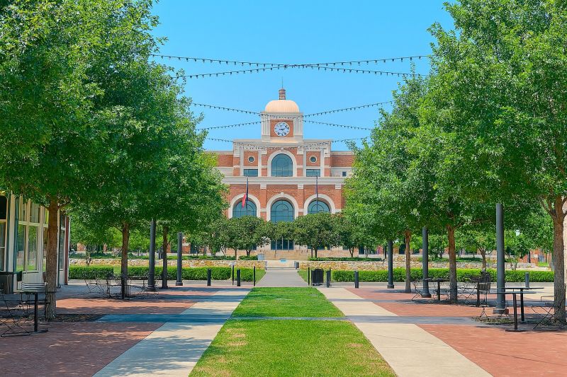 Fly Infestation Extermination in Lewisville, TX