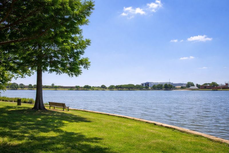 Spider Extermination Service in Lake Dallas, TX