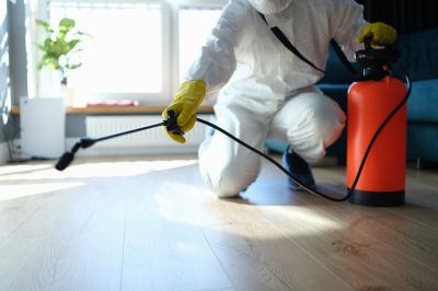 Cost of Pest Control in Plano, TX
